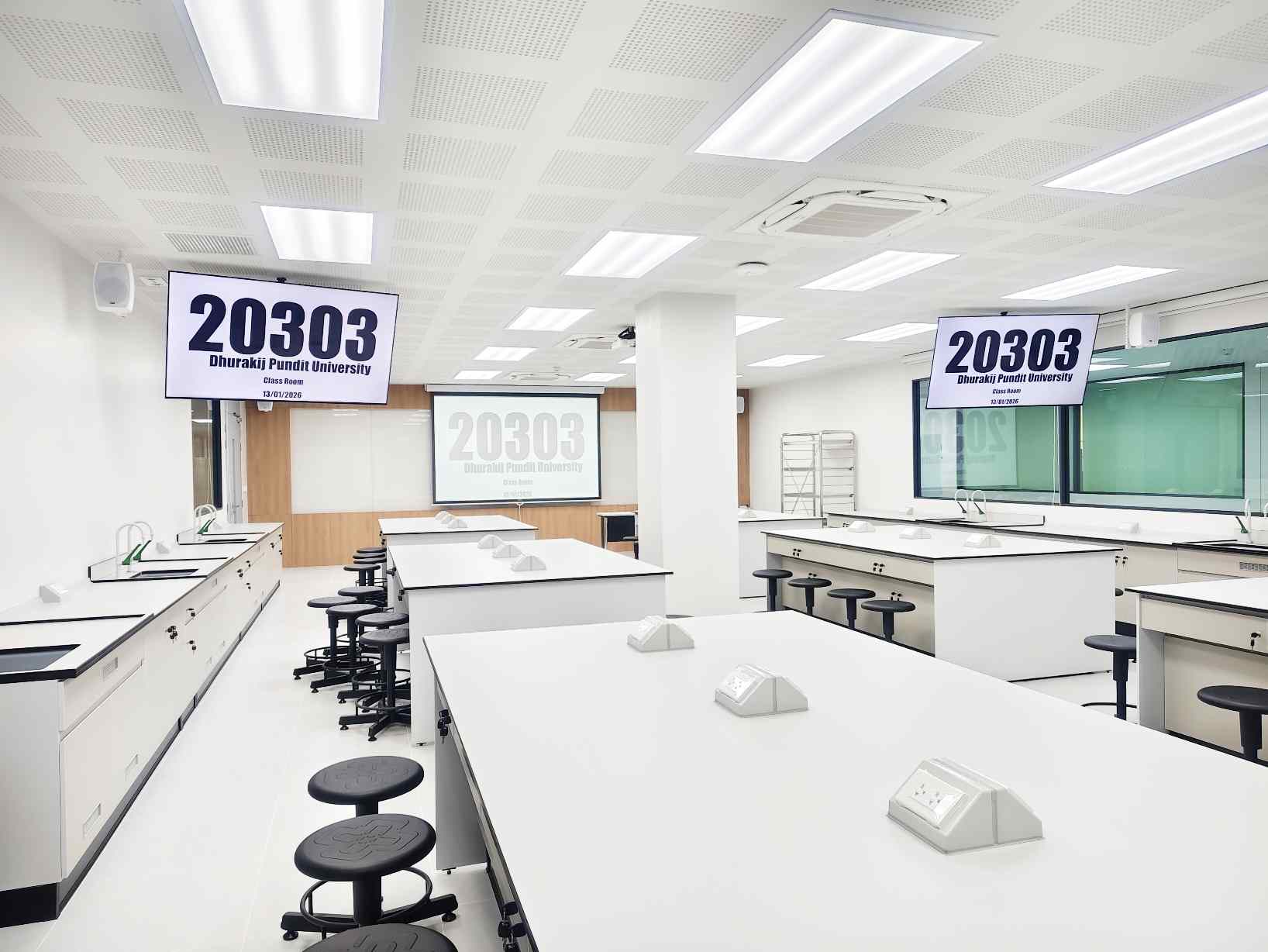 20303
