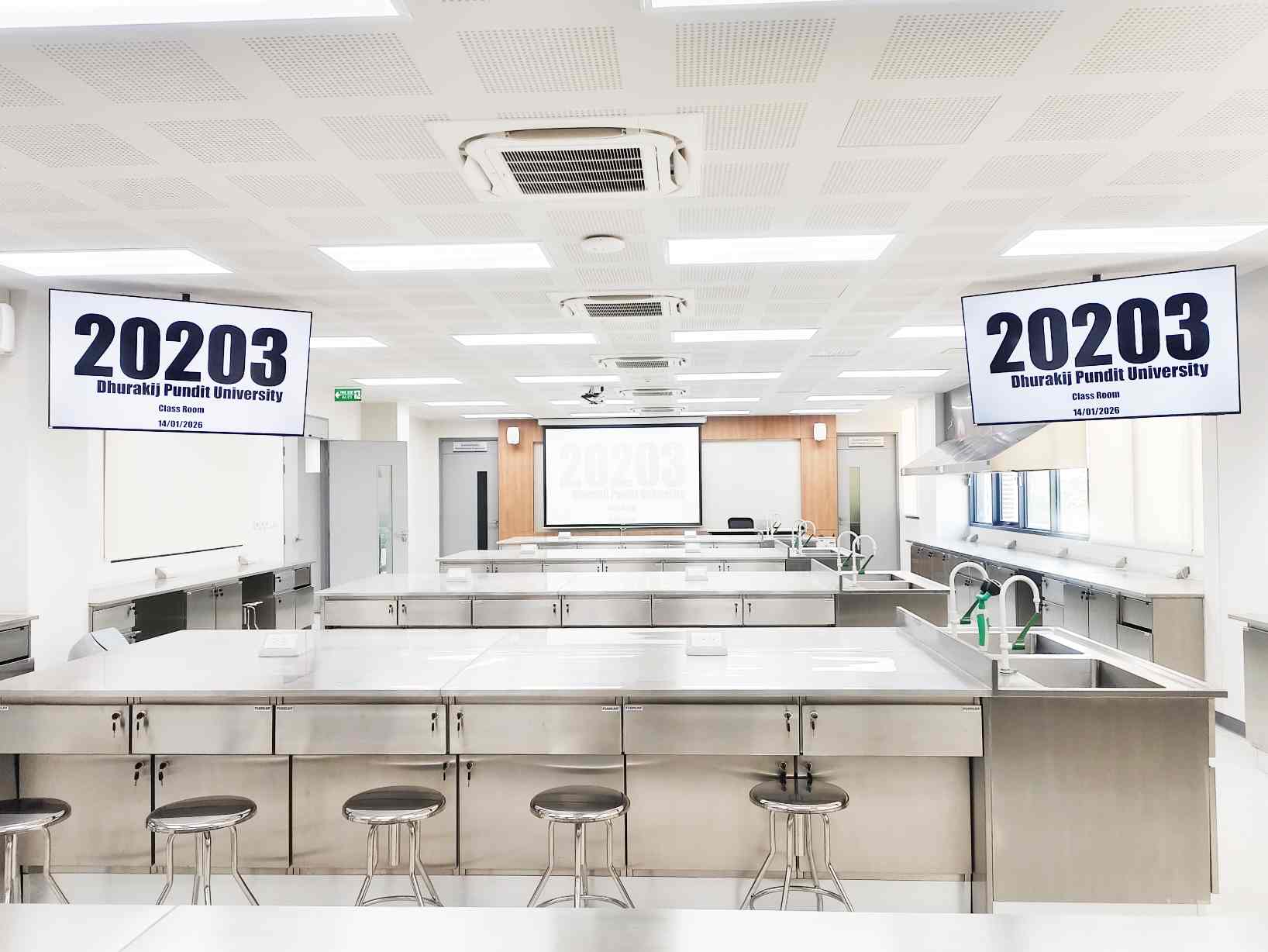 20203