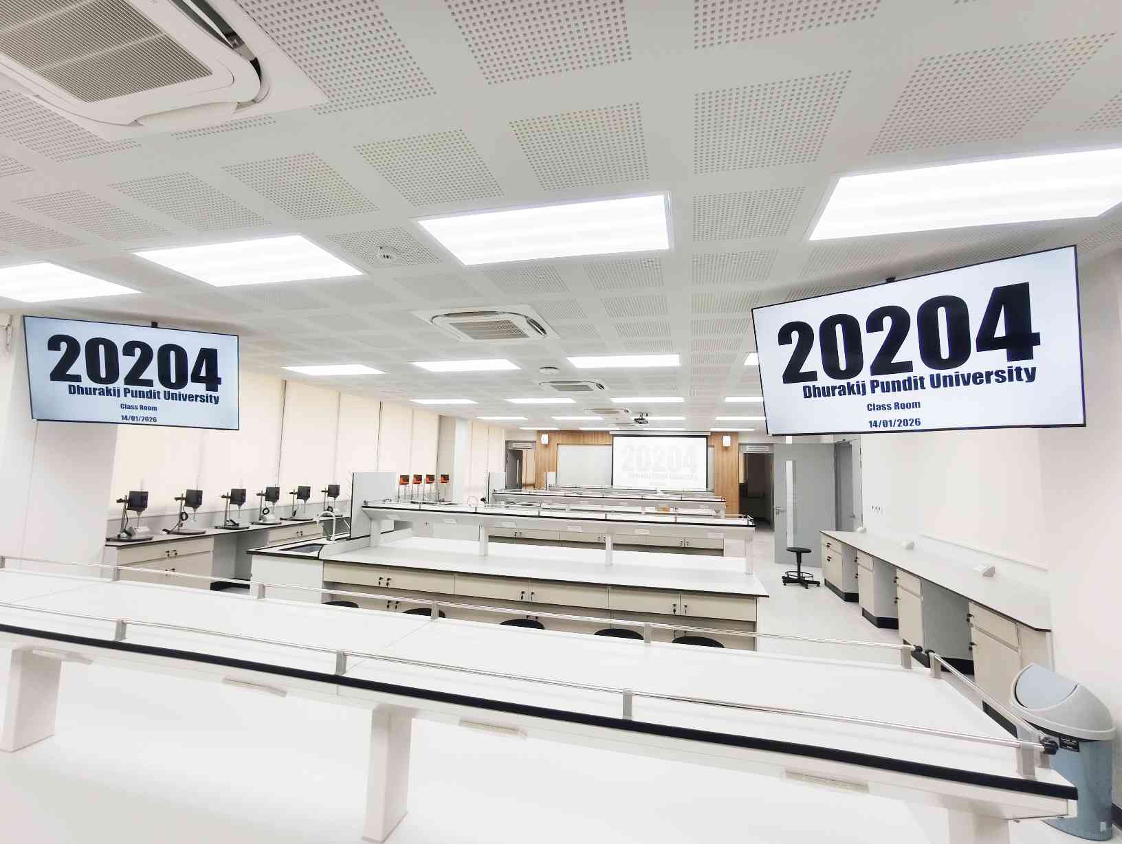 20204